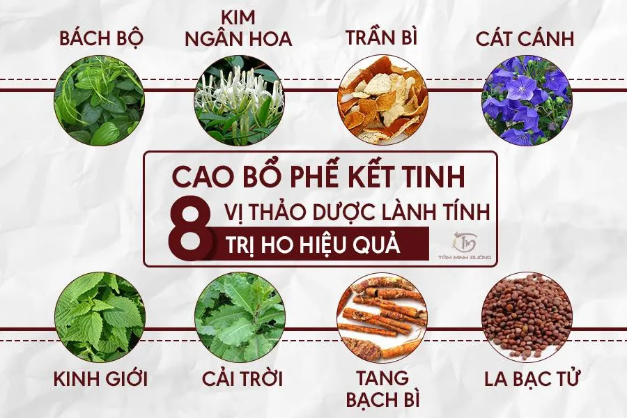 Bệnh phổi tắc nghẽn mãn tính (COPD)