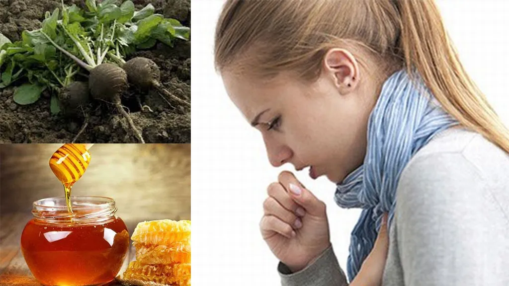 Nguyên tắc chung khi điều trị hen suyễn tại nhà