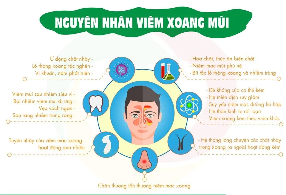 Do nhiễm trùng (virus, vi khuẩn, nấm)